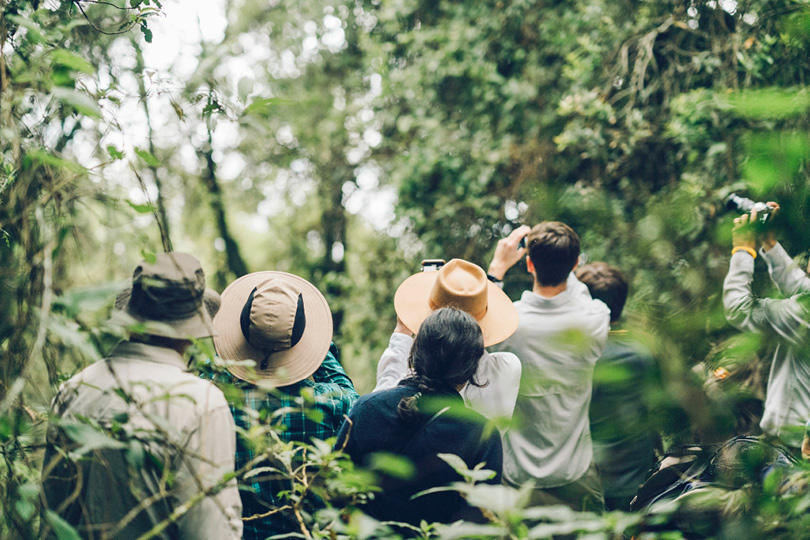 Guests walking in a lush East African forest
